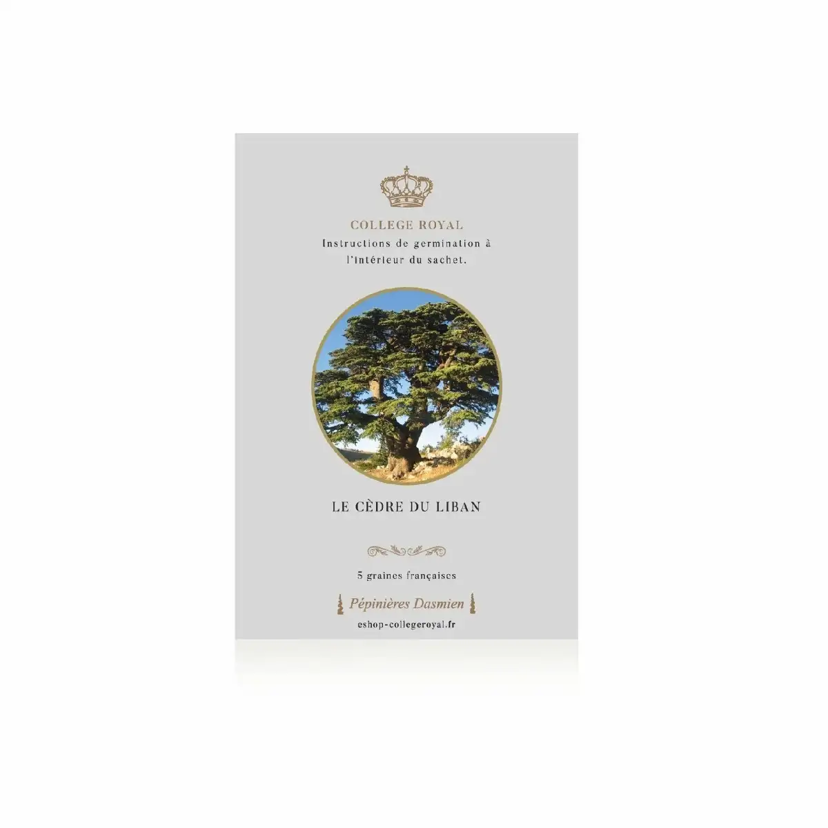 Graines françaises de "Cèdre du Liban"