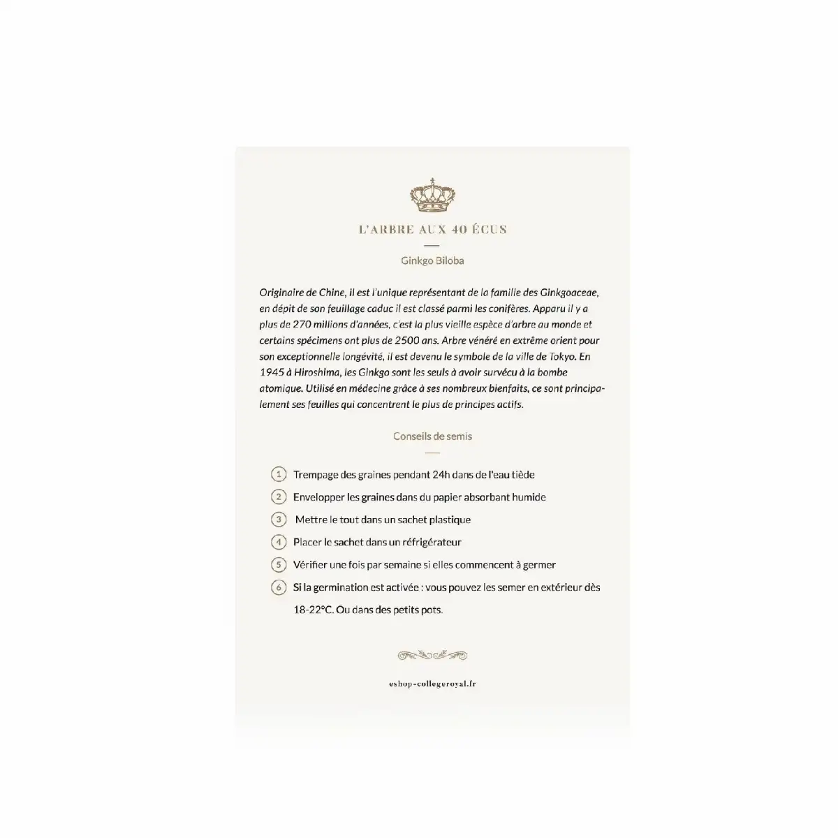 Graines françaises de "l'arbre aux 40 écus"