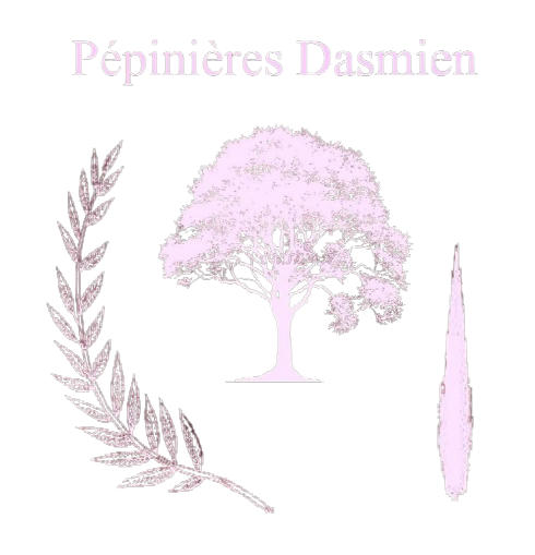 Logo Pépinières Dasmien